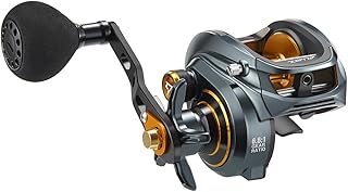 Piscifun Alijoz Baitcaster Fishing Reel, 300 Size Aluminum Frame Baitcasting Reel, 33Lbs Max Drag, Freshwater & Saltwater Low Profile Casting Reel for Musky, Available in 6.6:1/8.1:1 Gear Ratio