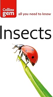 Insects