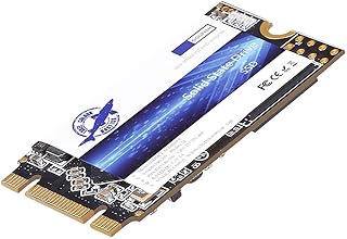 هارد SSD M.2 2242 256GB Ngff داخلي عالي الاداء للكمبيوتر واللابتوب ساتا III 6Gb/s SSD (256GB، M.2 2242) من دوج فيش