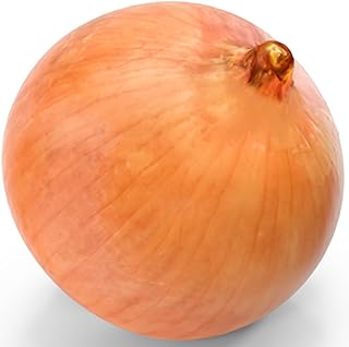 50 Spanish Giant Onion Seeds Large Brown Sweet Exhibition Vegetables to Grow