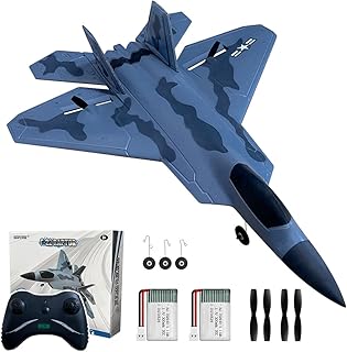 طائرة HAWK'S WORK 2 CH RC F-22 جاهزة للطيران تحكم عن بعد 2.4 جيجا هرتز سهلة الطيران شراعية للأطفال والمبتدئين