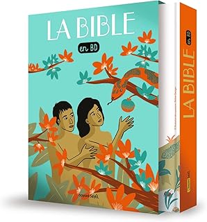 La Bible en BD (relié + coffret) NE: Les plus célèbres récits de la Bible en BD