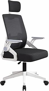 lureonthe Gaming Chair Office Chair Ergonomic Office Chair, Breathable Mesh Design High Back Desk Chair with Adjustable Headrest Swivel Armrest and Lumbar Support (white)