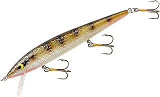 Smithwick Lures Suspending Rattlin Rogue Fishing Lure