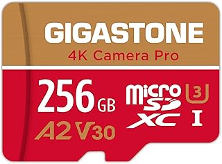 بطاقة Micro SD 256GB من جيجاستون، تسجيل فيديو 4K، كاميرا اكشن جوبرو، كاميرا اكشن، كاميرا رياضية، متوافقة مع نينتندو سويتش، R/W حتى 100/60 ميجابايت/ثانية، Micro SDXC UHS-I A2 V30 فئة 10