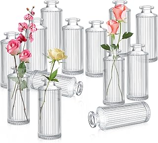 Lvefyti Pack of 12 Bud Wases, Glass Bottle Vases Clear Small Vases High Decorative Vase Filler for Centerpieces Pharmacy Glasses Vase for Home Wedding Bridal Shower Decor