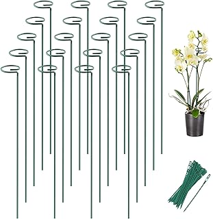 جوي هايلو اوتاد دعم النباتات، اوتاد نباتات 24 انش، اوتاد زهور مع 24 ربطة ملفوفة، عصي حديقة للنباتات الفاوانيا الفاوانيا الزنبق