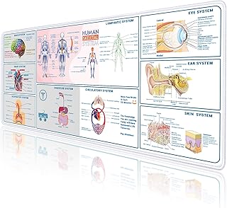 قاعدة ماوس كبيرة للتشريح البشري من بروبتيس، بساط مكتب لنموذج تشريح الجسم، 34.5 انش × 15.7 انش، ادوات دراسة التشريح وعلم وظائف الأعضاء، هدايا للطبيب المساعد الطبي وطلاب التمريض الجامعي، ابيض