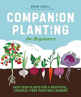 Companion Planting for Beginners: Pair Your Plants for a Bountiful, Chemical-Free Vegetable Garden