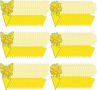 24 عبوة من مصائد الفطريات اللاصقة القاتل للبعوض في الأماكن المغلقة، مصائد فطريات غير سامة وعديمة الرائحة للمنزل، مصائد ذباب الفاكهة مزدوجة الجوانب للنباتات الداخلية