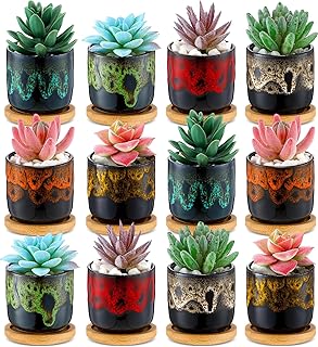 RimCereal 12 Pcs Succulent Pots 2.5 Inch Ceramic Succulent Garden Pots Planters with Drainage and Bamboo Tray for Indoor Garden Plants Planters Colorful Cactus Flower Pot(Cylindrical,2.3 Inch H)